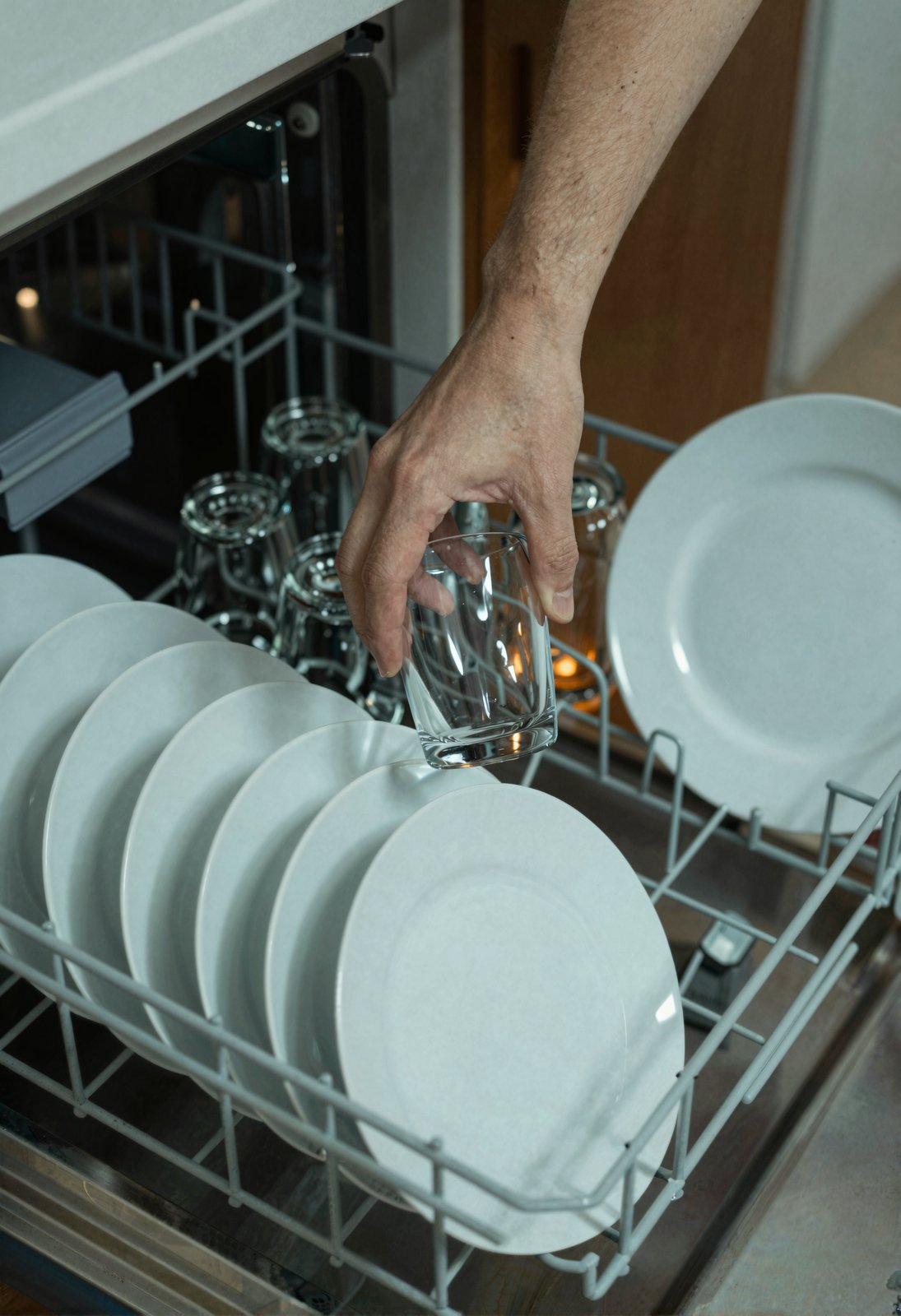 Fig. 2 — Household 112. The upper rack was reloaded within four minutes of the original loading, by a second party.